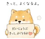 856822074