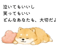 856822075