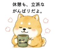 856822076