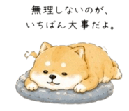 856822082