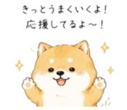 856822083