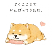 856822088