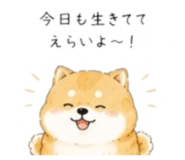856822090