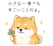 856822091