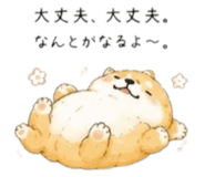 856822094