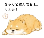 856822099