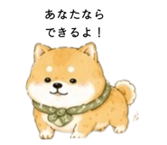 856822100