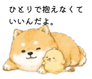856822104