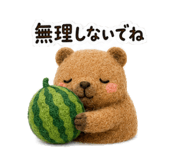856822707