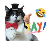 856824252