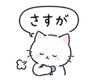 856824616
