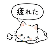 856824624