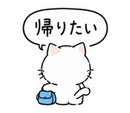 856824626