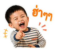 856835249