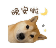 856836493