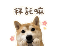 856836494