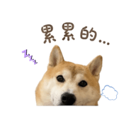 856836496