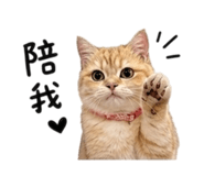 856836809