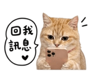 856836818