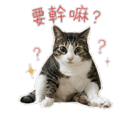 856837942