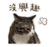 856837944