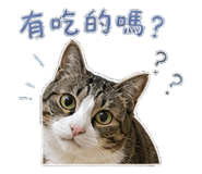 856837961