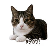 856838180