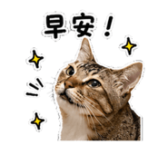 856838361
