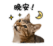 856838376