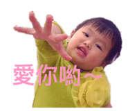 856838392