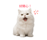 856838444