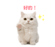 856838447