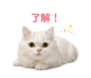 856838448