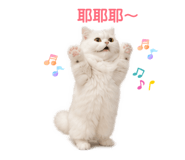 856838449