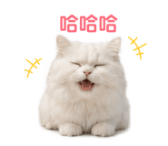 856838453