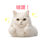 856838455
