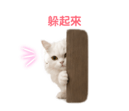 856838456
