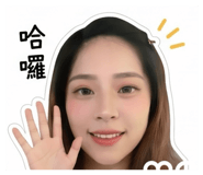 856841631