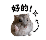 856842866