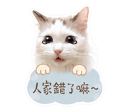 856843499