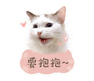 856843500