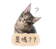 856848707