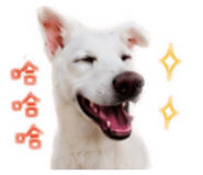 856849740