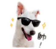 856849744