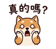 856849764