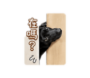 856850580