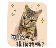 856850848