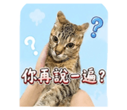 856850862