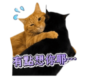 856851048