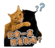 856851061